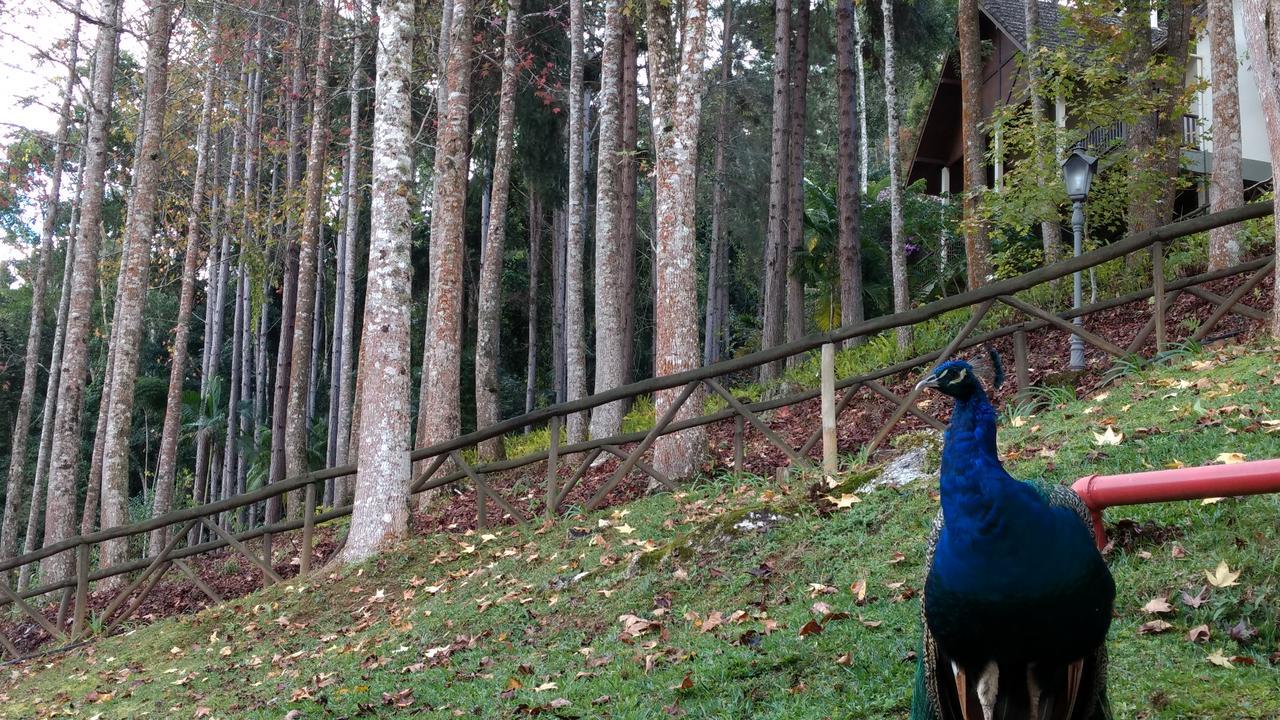 Hotel Fazenda Monte Verde Golf & Resort Vargem Alta Zewnętrze zdjęcie